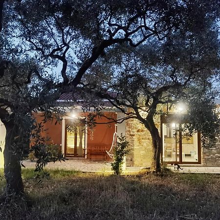 Elea Stone Houses In Organic Quiet Olive Grove, Prinos, Thassos Exteriér fotografie