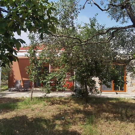 Elea Stone Houses In Organic Quiet Olive Grove, Prinos, Thassos Pokoj fotografie