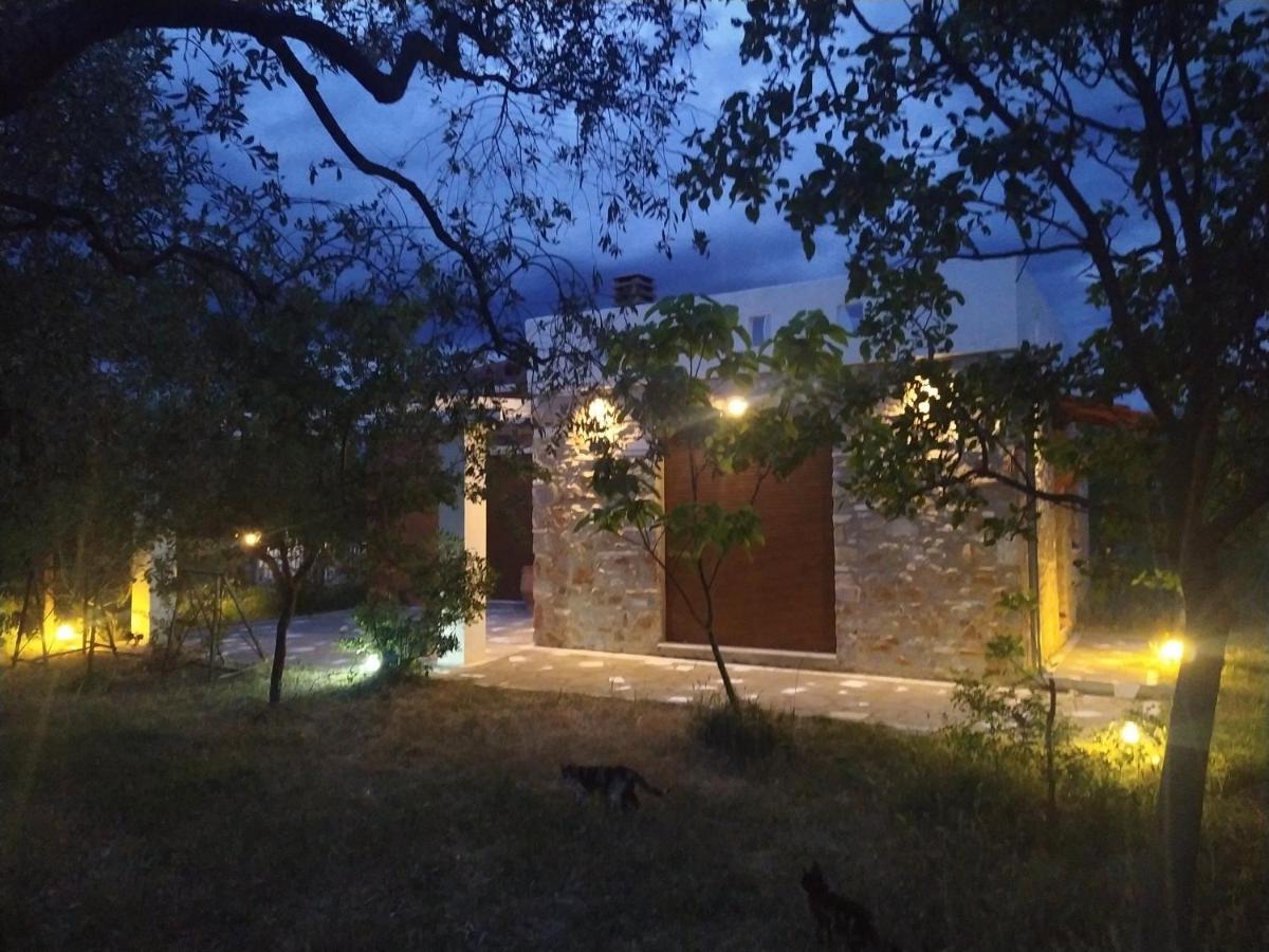 Elea Stone Houses In Organic Quiet Olive Grove, Prinos, Thassos Exteriér fotografie