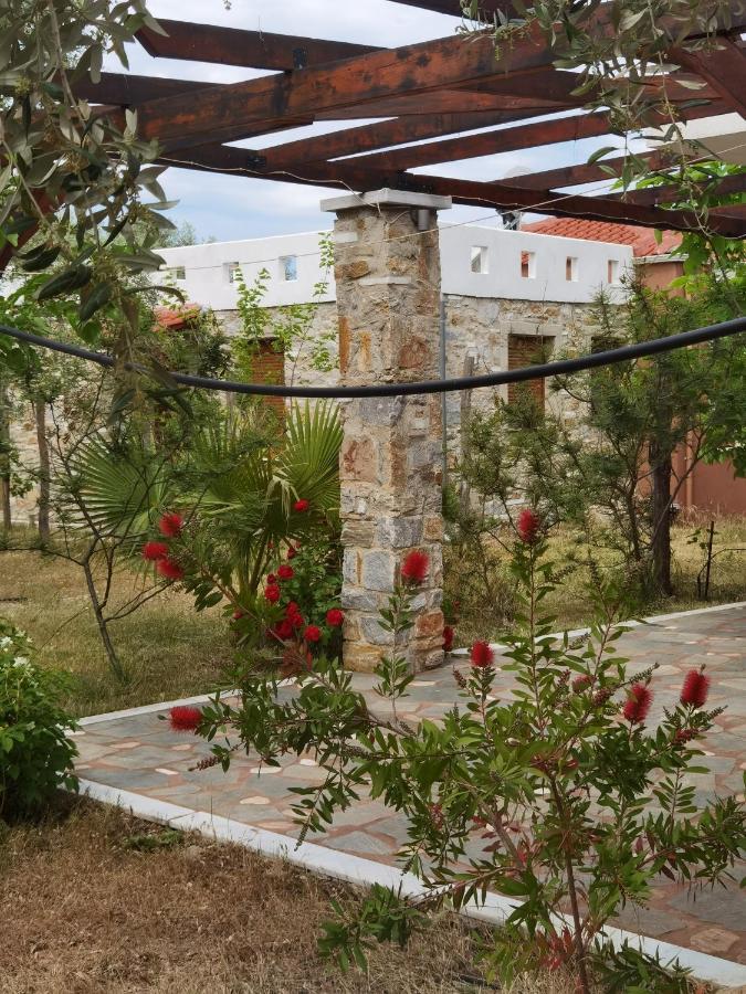 Elea Stone Houses In Organic Quiet Olive Grove, Prinos, Thassos Exteriér fotografie