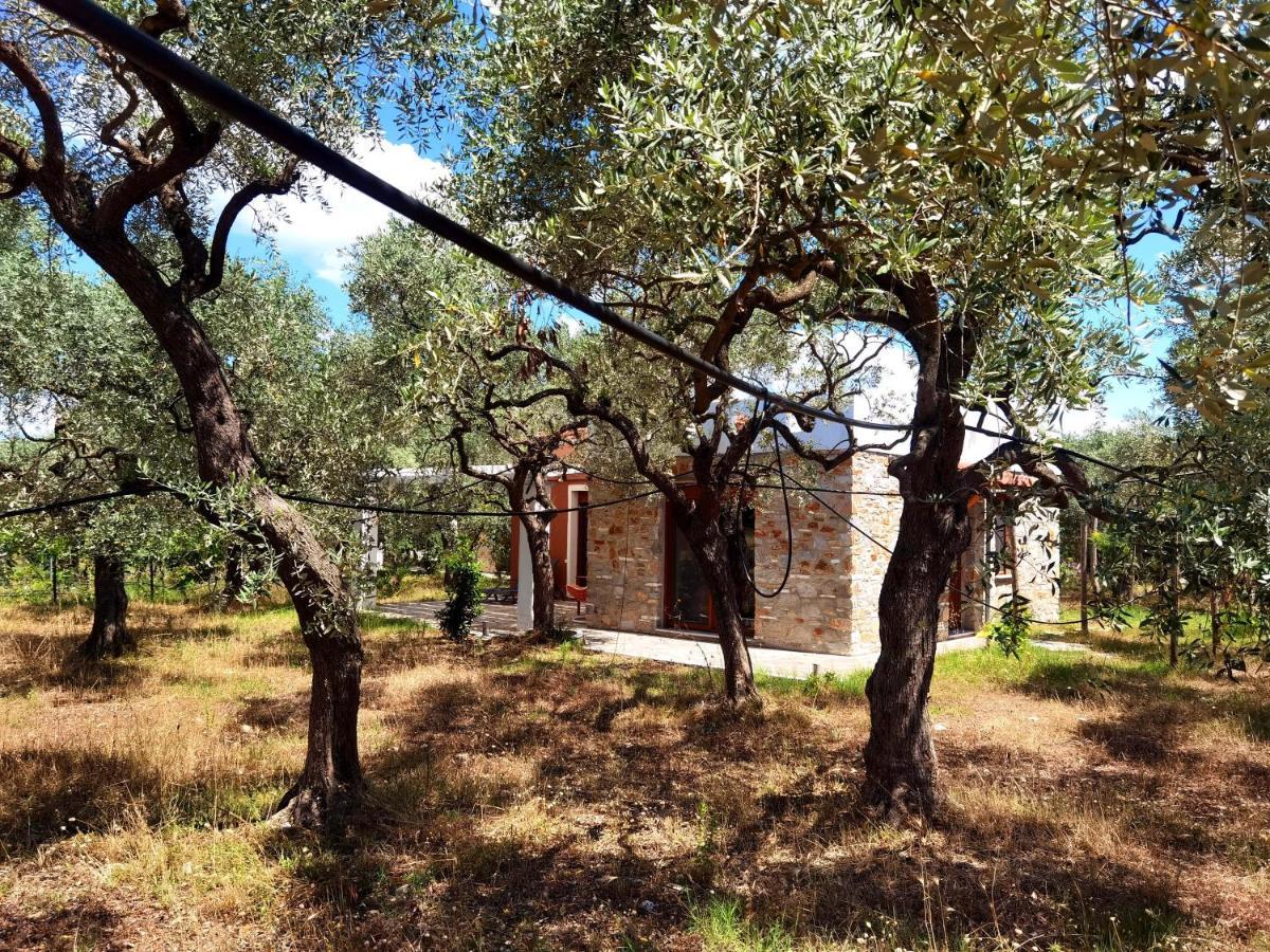 Elea Stone Houses In Organic Quiet Olive Grove, Prinos, Thassos Exteriér fotografie