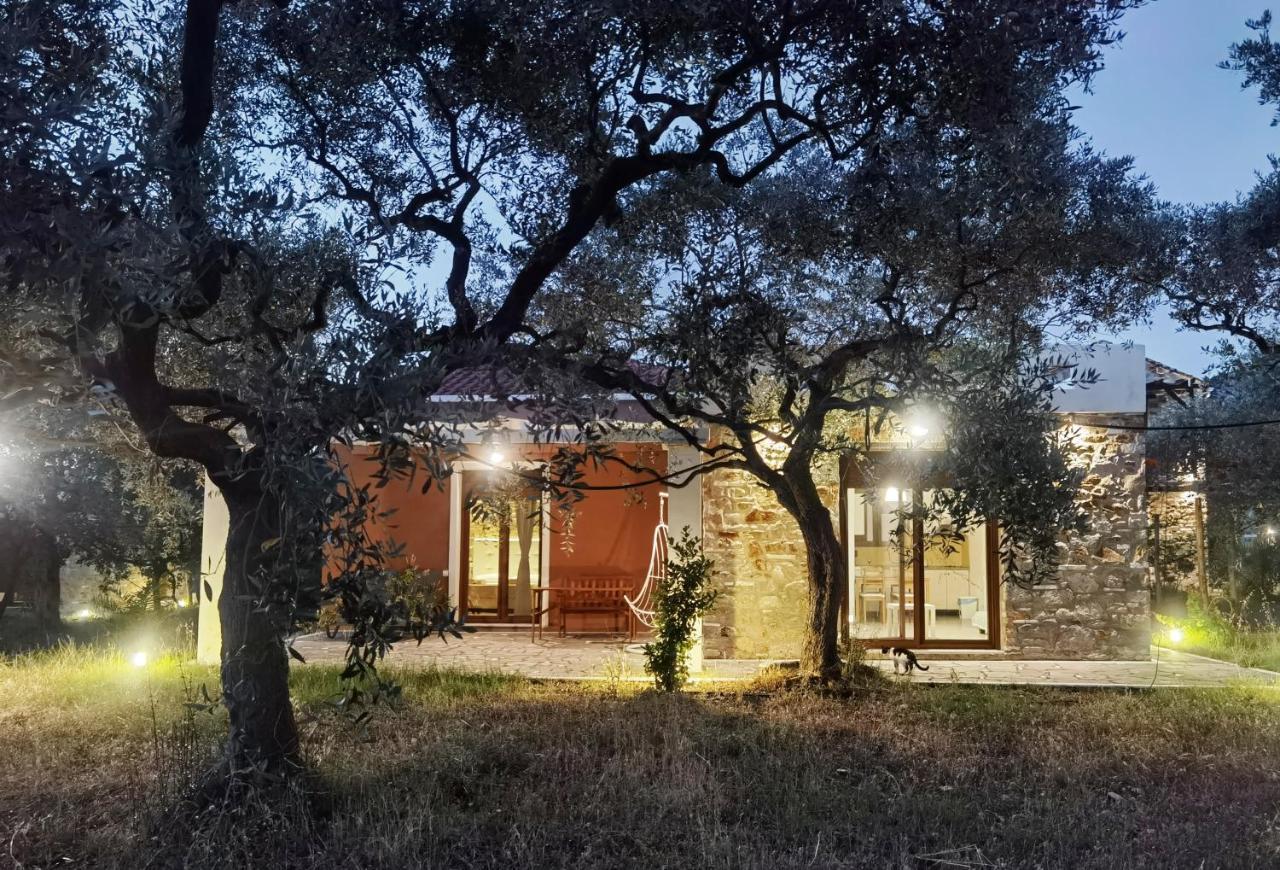 Elea Stone Houses In Organic Quiet Olive Grove, Prinos, Thassos Exteriér fotografie