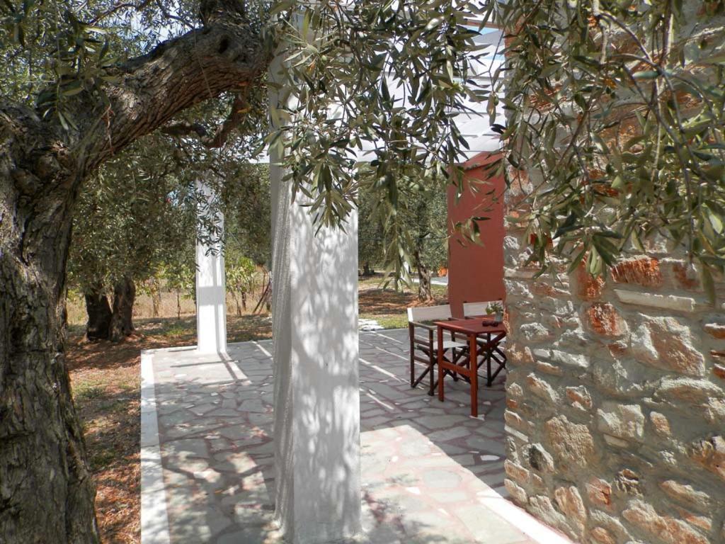 Elea Stone Houses In Organic Quiet Olive Grove, Prinos, Thassos Exteriér fotografie