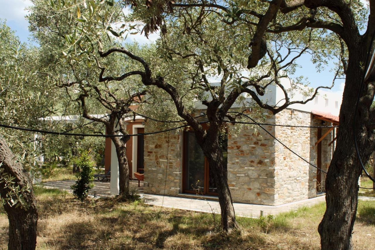 Elea Stone Houses In Organic Quiet Olive Grove, Prinos, Thassos Exteriér fotografie