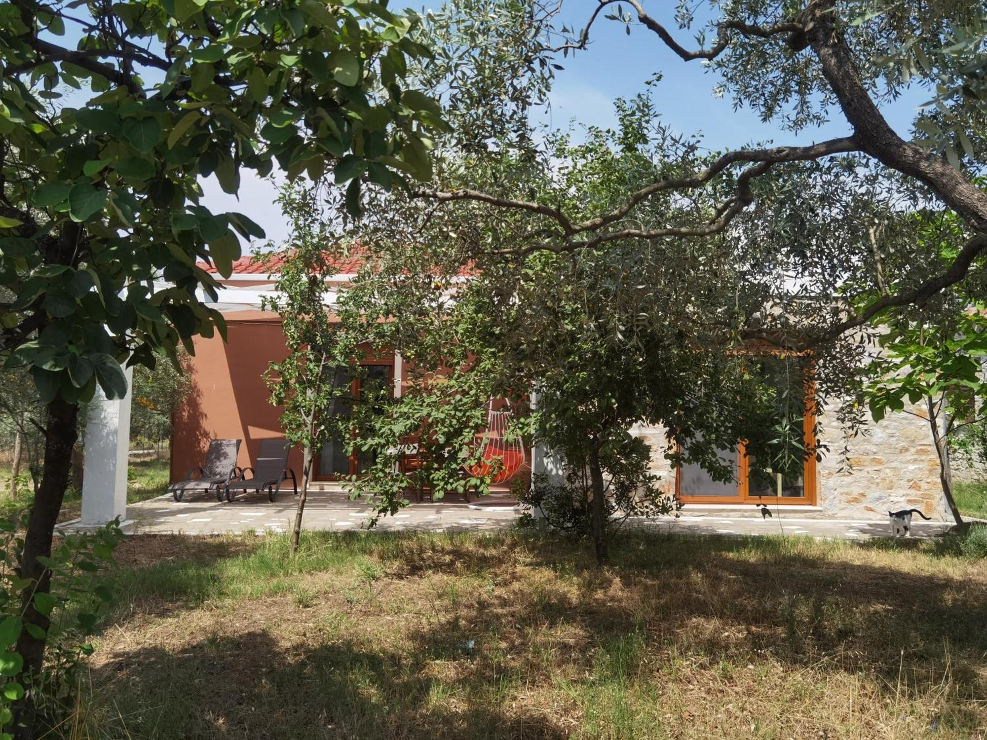 Elea Stone Houses In Organic Quiet Olive Grove, Prinos, Thassos Pokoj fotografie