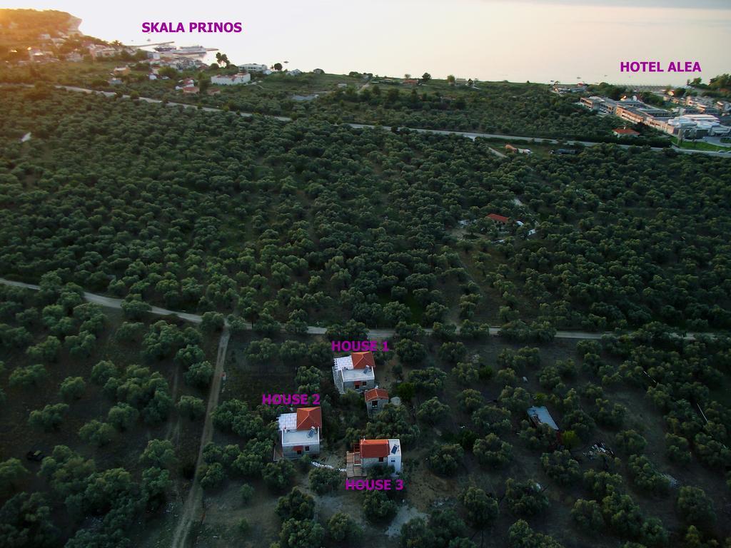 Elea Stone Houses In Organic Quiet Olive Grove, Prinos, Thassos Exteriér fotografie