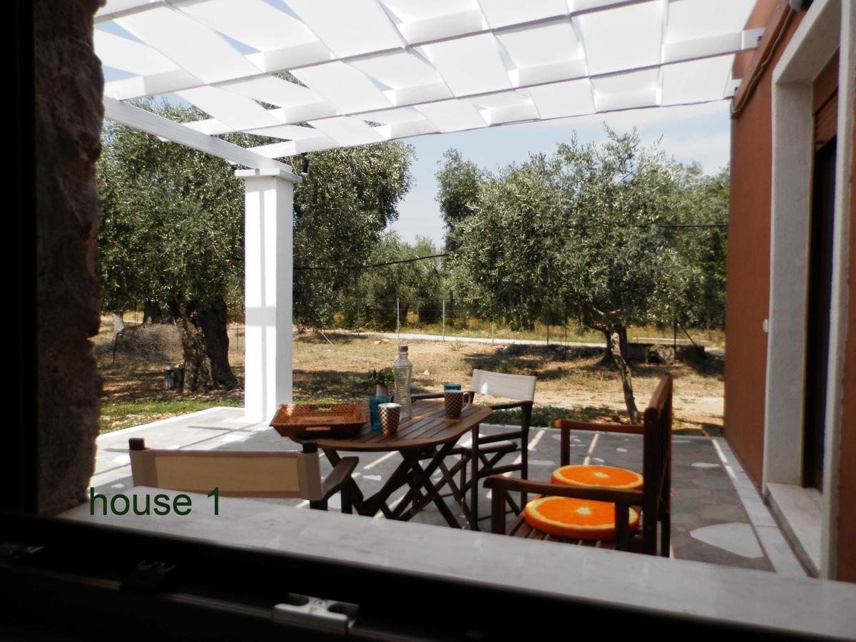 Elea Stone Houses In Organic Quiet Olive Grove, Prinos, Thassos Exteriér fotografie