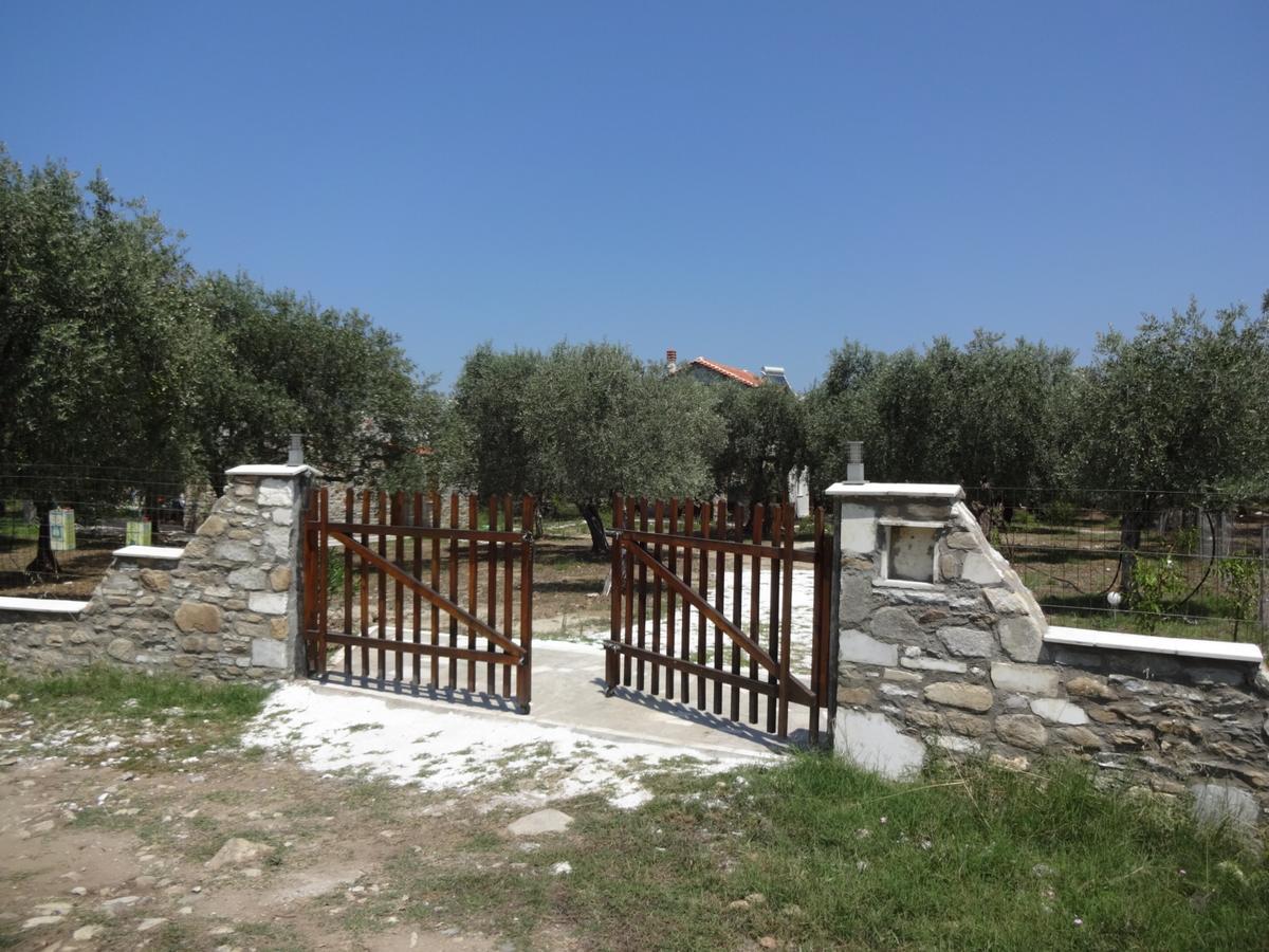 Elea Stone Houses In Organic Quiet Olive Grove, Prinos, Thassos Exteriér fotografie